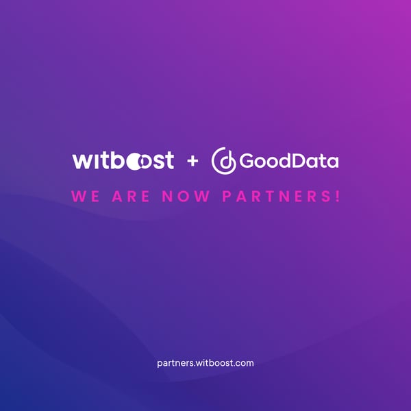 Witboost+GoodData PR