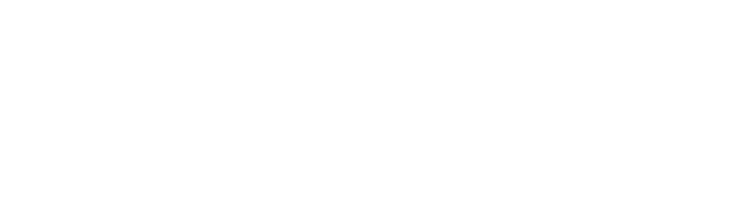 Witboost Logo_White